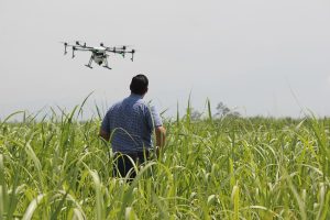 Best Drones For Agriculture Mapping