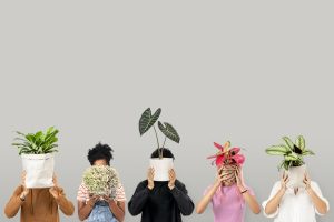 Why Is Gen Z Obsessed With Plants?