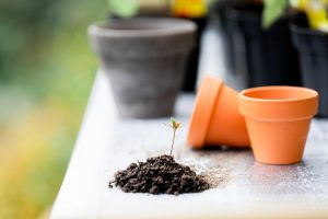 Topsoil Cost Per Cubic Yard