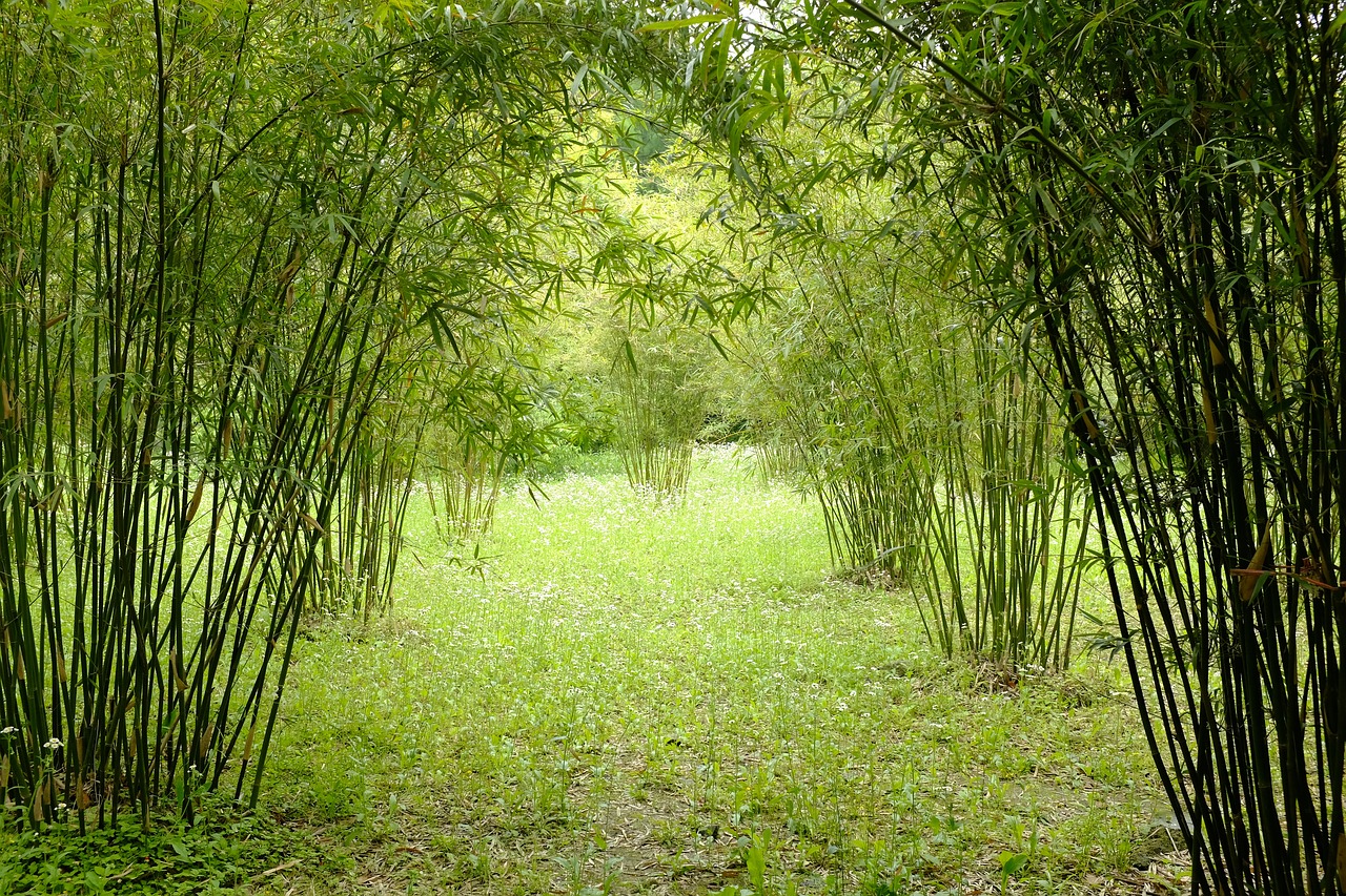 Best Tool for Digging Up Bamboo Roots - FarmTilling