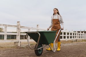Best Wheelbarrows For Seniors