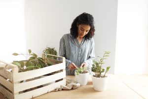 Best Material For Planter Boxes