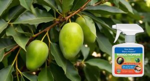 Best Insecticide For Mango Hoppers