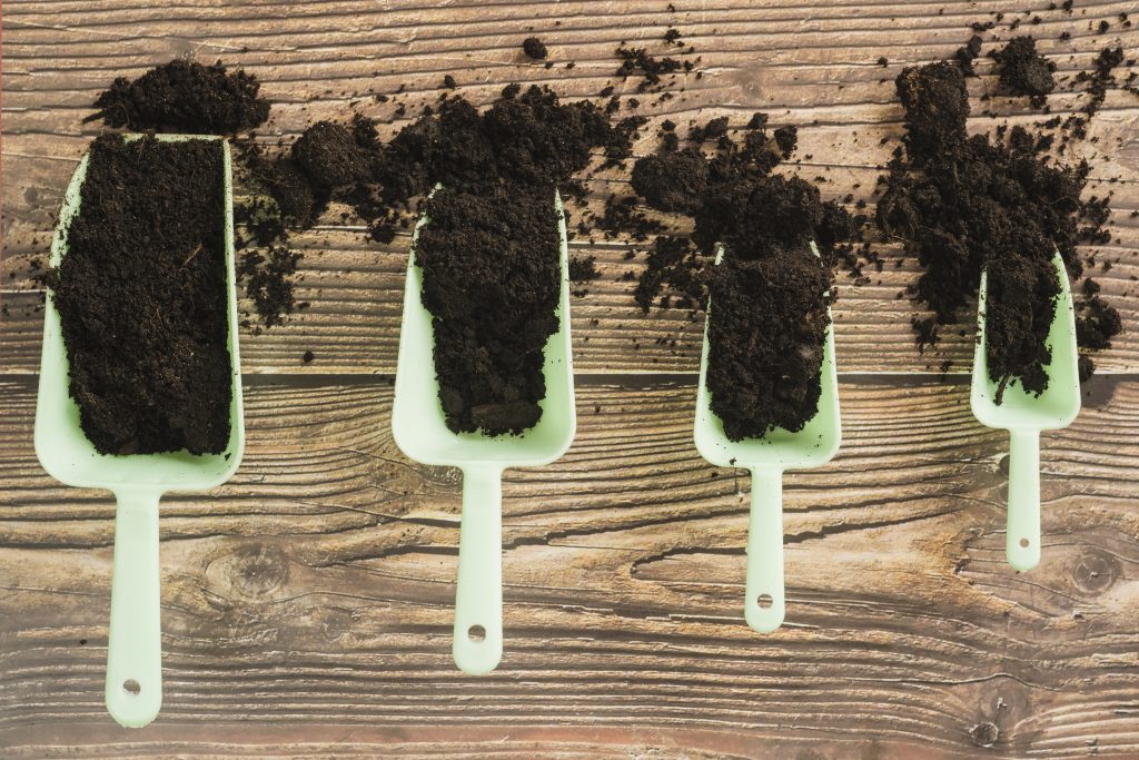15 Best Compost For Lawn Top Dressing - FarmTilling