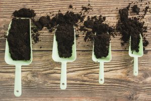 Best Compost For Lawn Top Dressing