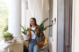 What Plant Is Good Luck By Your Front Door?