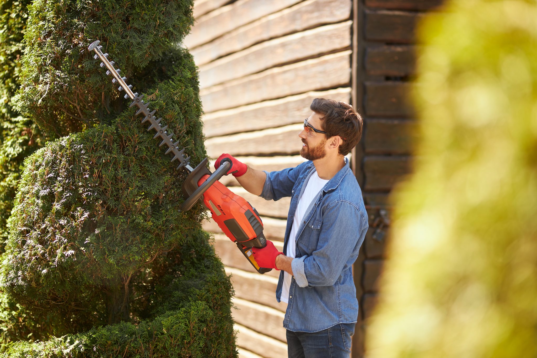 10 Best Hedge Trimmer For Thick Branches - FarmTilling