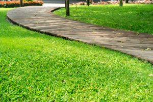 Best Fertilizer For Grass In Sandy Soil