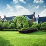 Best Fertilizer For Landscaping