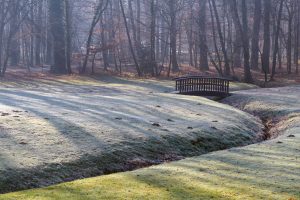 Best Fungicide For Snow Mold