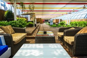 Best Shade Net For A Terrace Garden