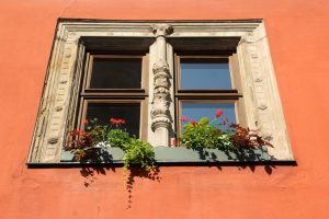 Best Flowers For Full Sun Window Boxes