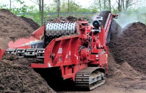 Best Mulch For Vriesea Plants 
