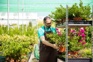 Best Plant Nursery In Atlanta