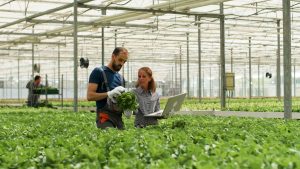 How Does Engineering Relate To Agriculture
