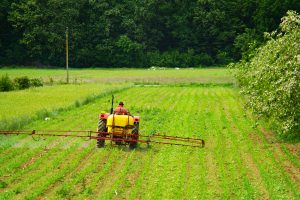 How To Control Jointed Goat Grass