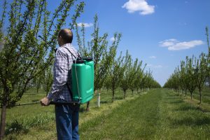 What Is The Ranger Pro Herbicide Equivalent To?