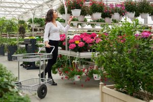 Best Flowering Plants For San Antonio