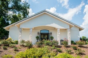 Best Fake Bushes For Front Of House