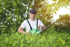 Best Lawn Service In Wichita KS