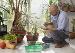 Best Plants For 3 Season Porch
