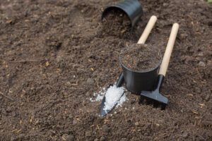 Best Fertilizer For El Toro Zoysia In Hawaii   