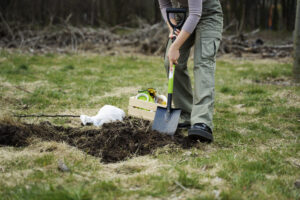 Best Shovel For Digging Out Bushes
