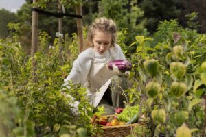 Best Fertilizer For Summer Vegetables