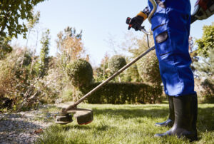 weed eater with blade