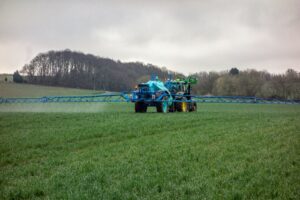 Best Fertilizer For Queensland Blue Couch