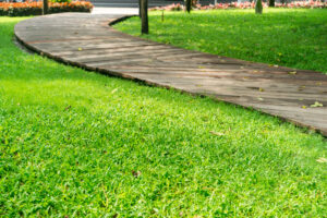 Best Grass For East Tennessee