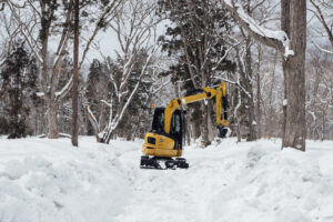 Best Low Cost Mini Excavator