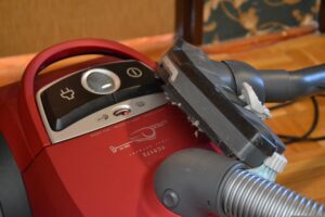 Vacuum For Ladybugs