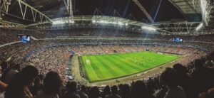 Best Grass For Football Field