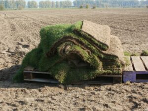 Grass Dealers In San Antonio